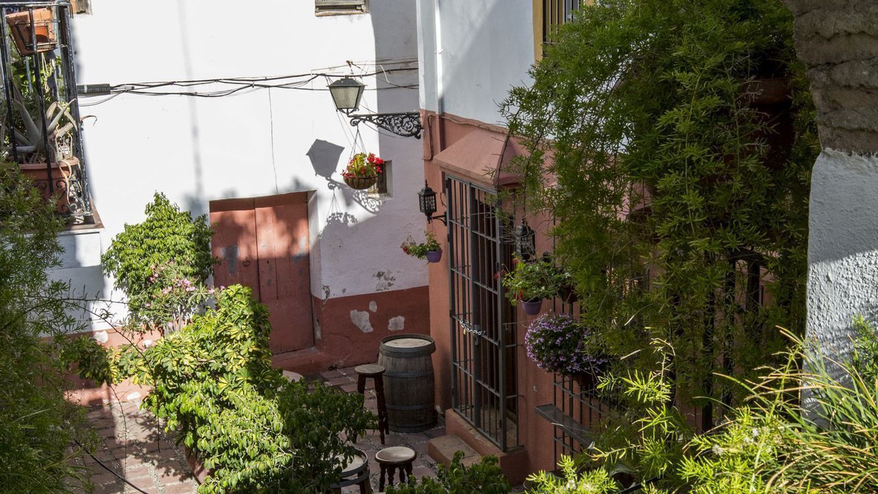 Photo of Outdoor in Marbella City Centre