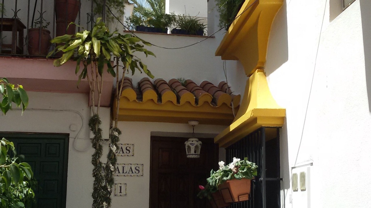 Photo of Outdoor in Marbella City Centre