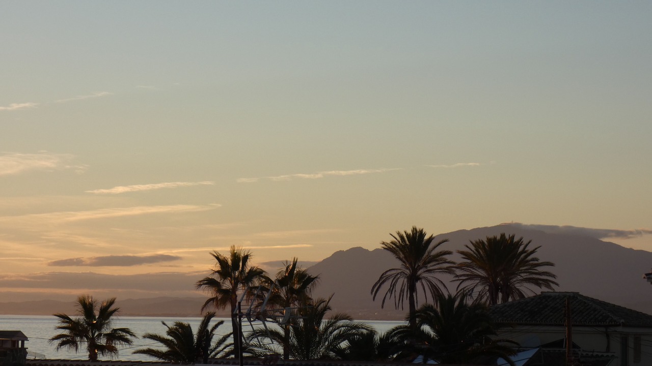 Photo of Others in Marbella