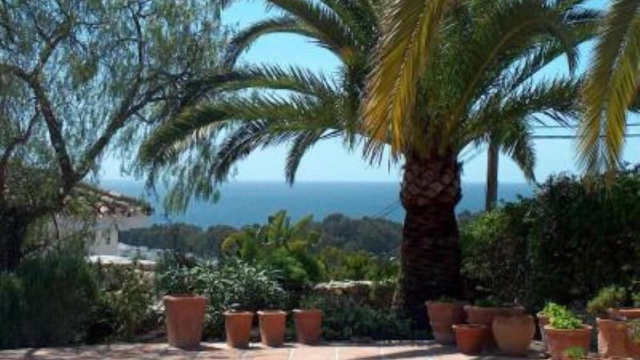 Photo of Outdoor in Elviria