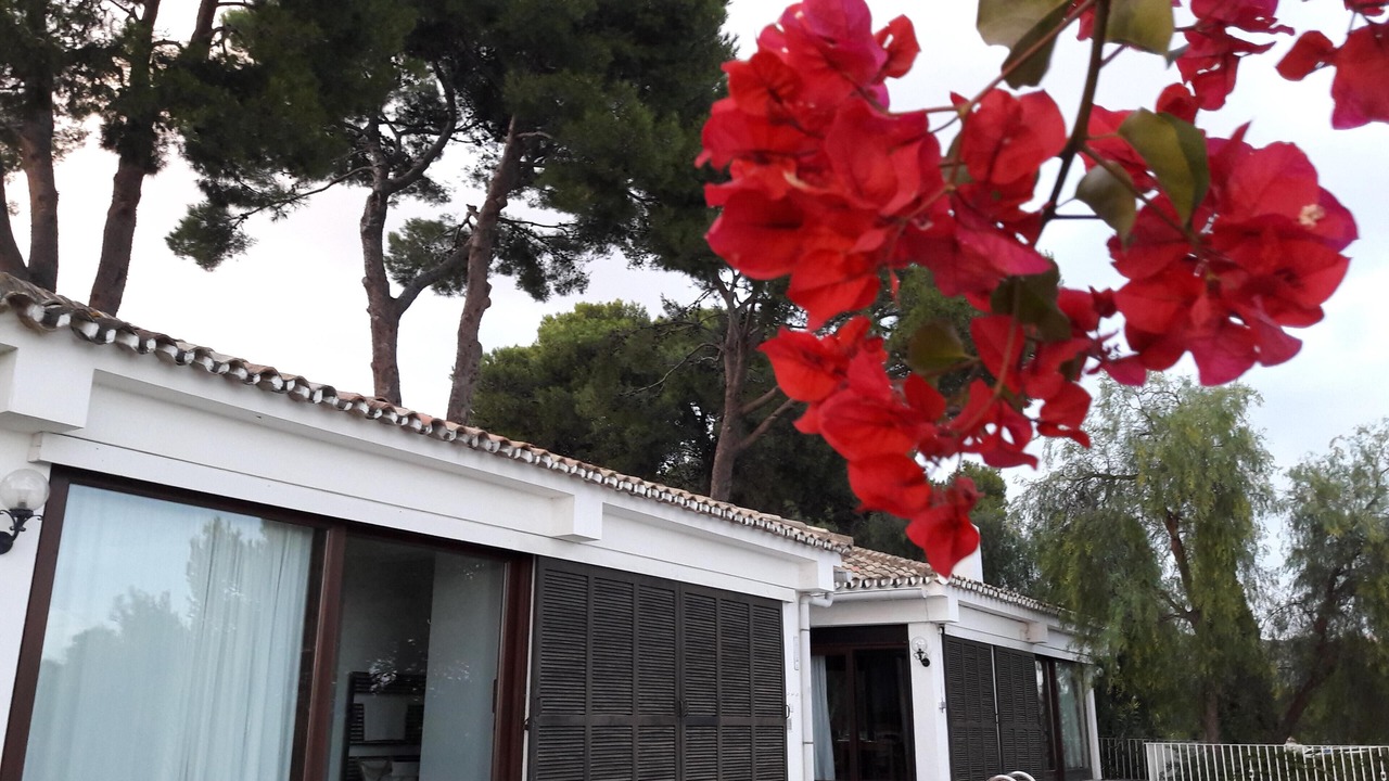 Photo of Outdoor in Urbanizacion Hacienda las Chapas