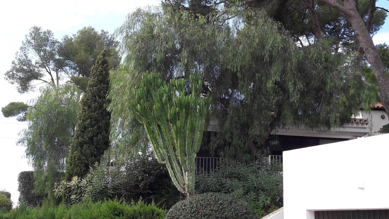 Photo of Outdoor in Urbanizacion Hacienda las Chapas