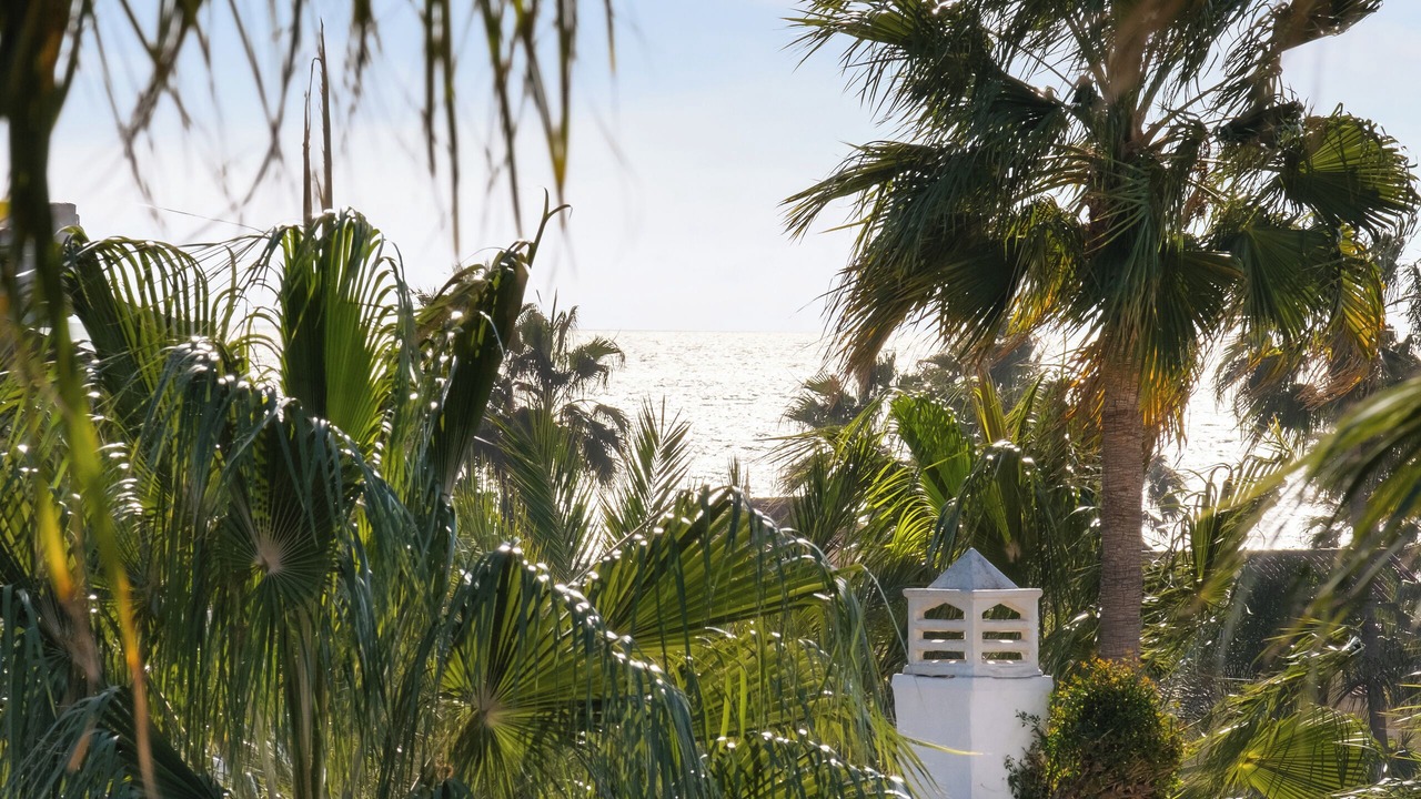 Photo of Outdoor in San Pedro de Alcantara