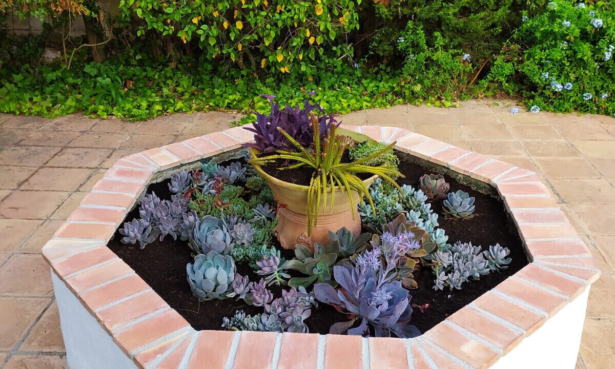 Photo of Outdoor in Benidoleig