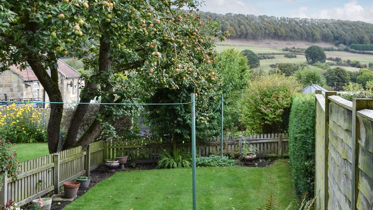 Photo of Outdoor in Scarborough