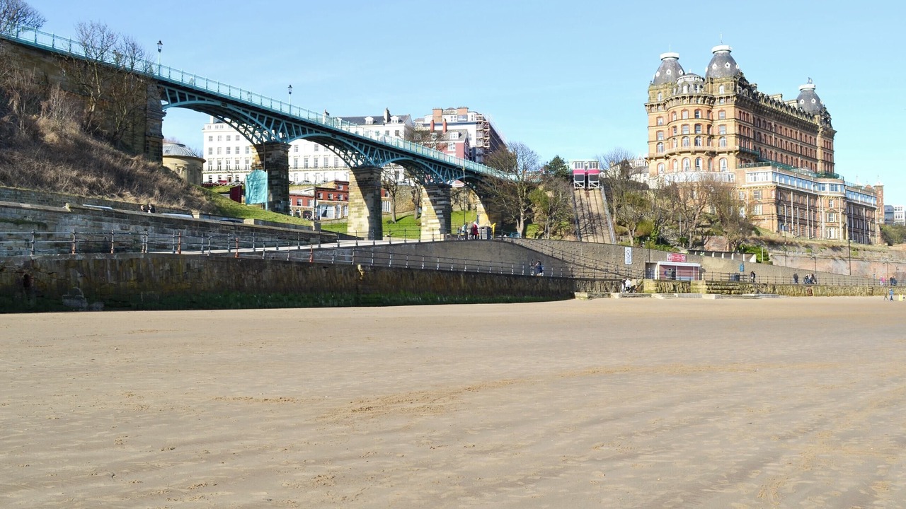 Photo of Others in Scarborough