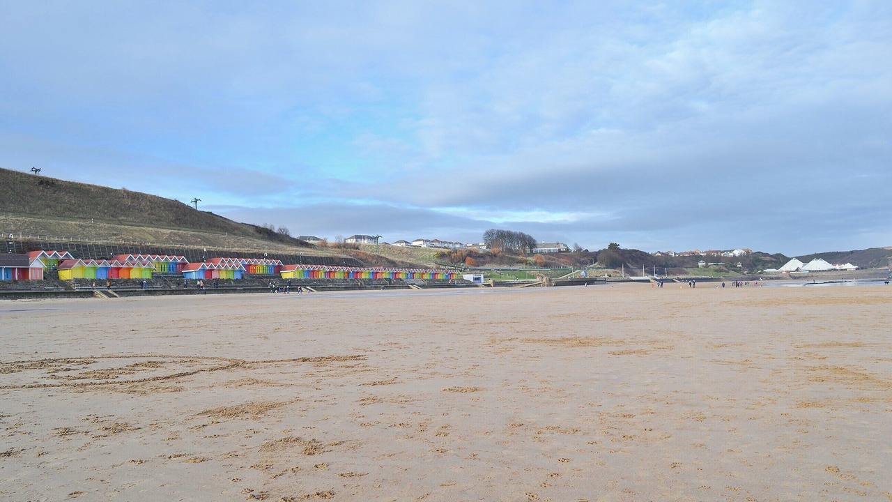 Photo of Others in Scarborough
