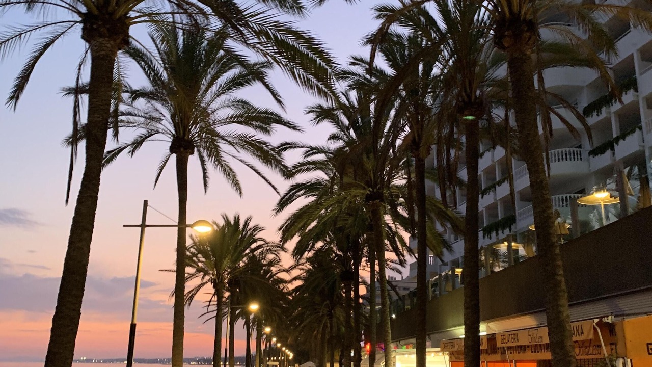 Photo of Others in Marbella