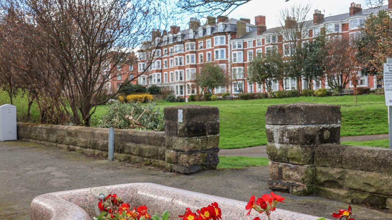 Photo of Outdoor in South Cliff