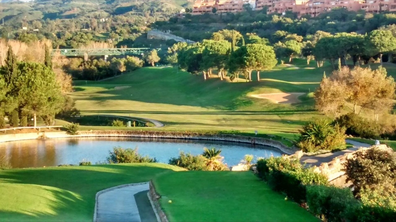 Photo of Others in Marbella