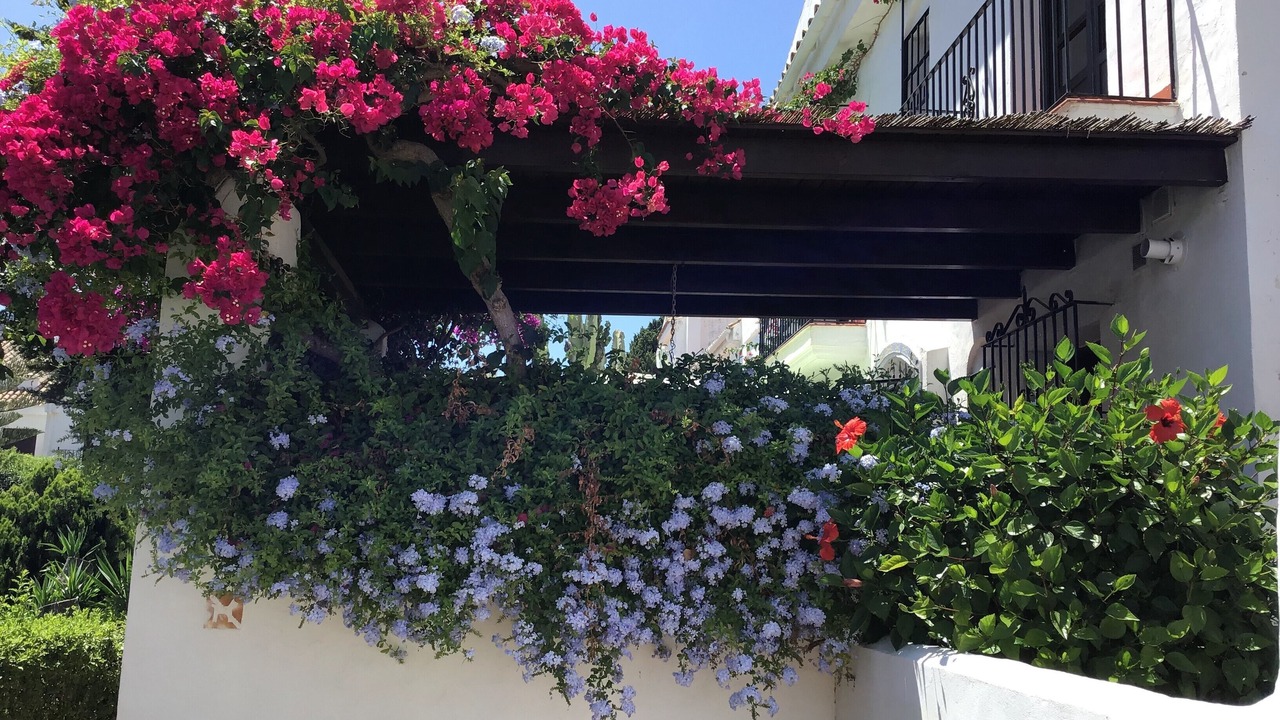 Photo of Outdoor in Marbella
