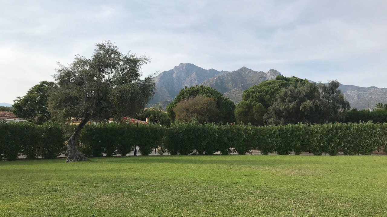 Photo of Others in Marbella