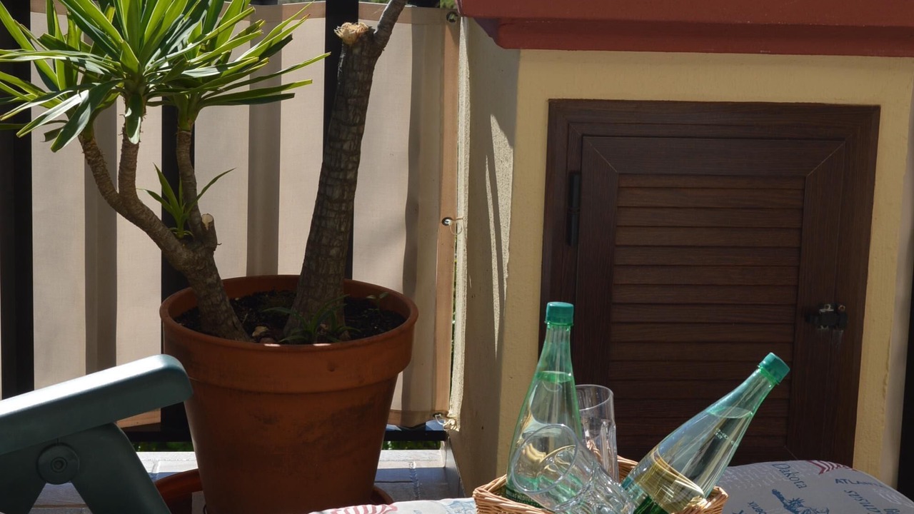 Photo of Outdoor in Nikki Beach