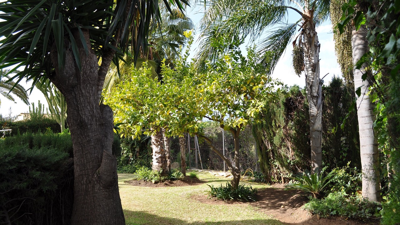 Photo of Others in Elviria
