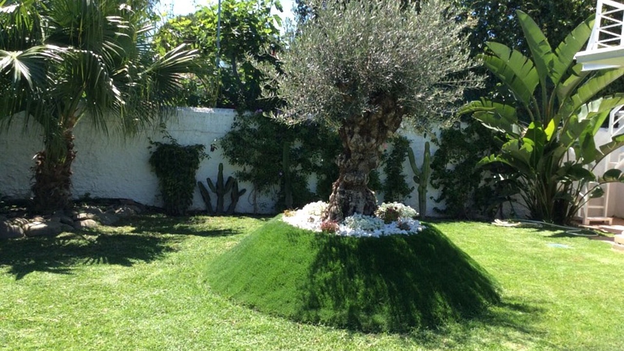 Photo of Outdoor in San Pedro de Alcantara