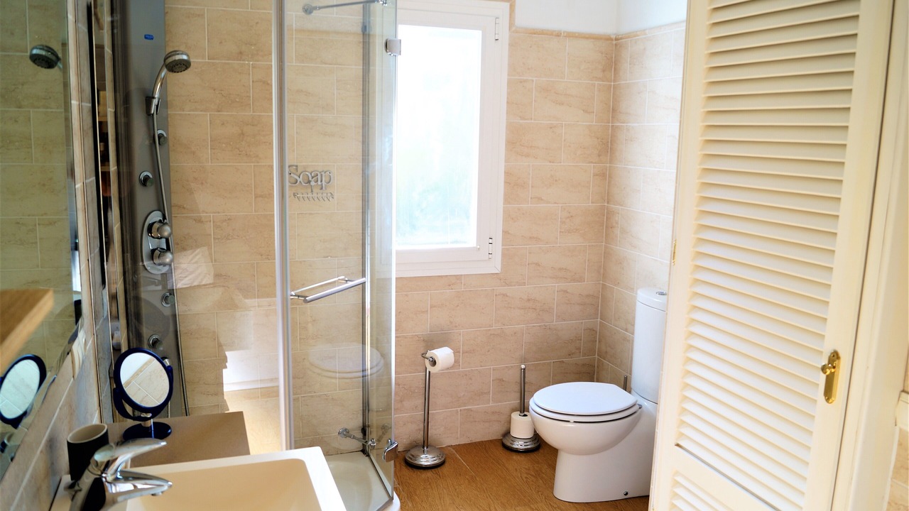 Photo of Bathroom in Elviria