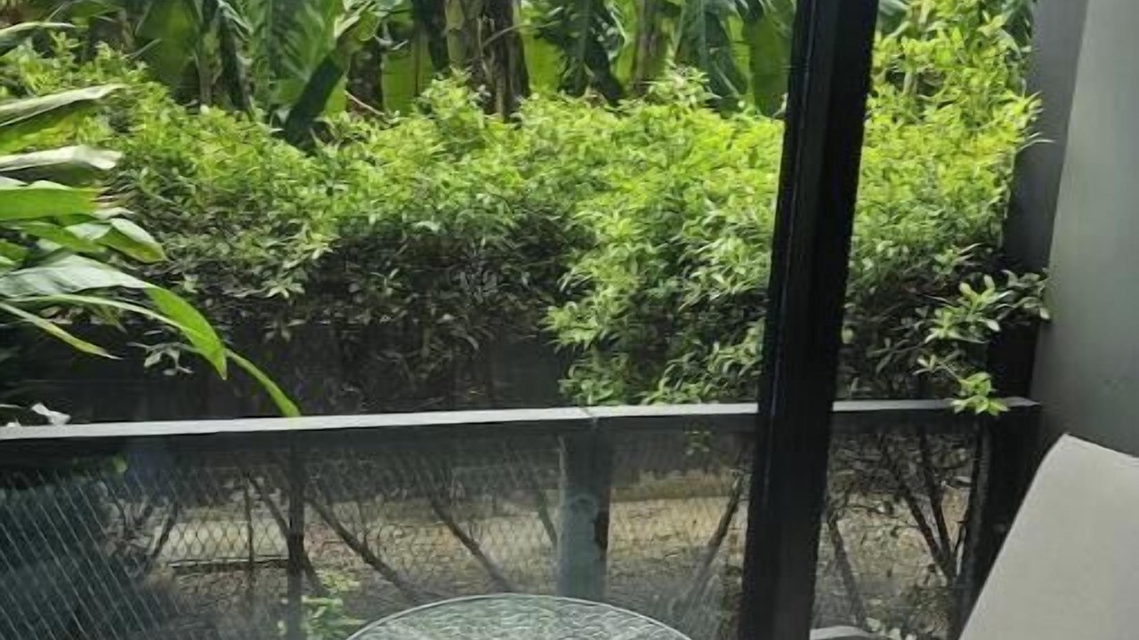 Photo of Outdoor in Thung Song Hong