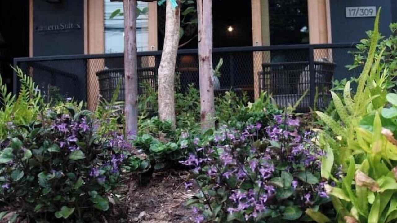 Photo of Outdoor in Thung Song Hong