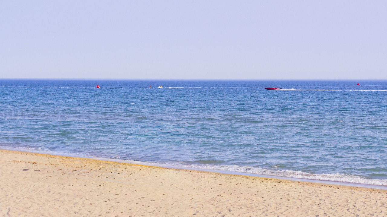Photo of Others in Marbella