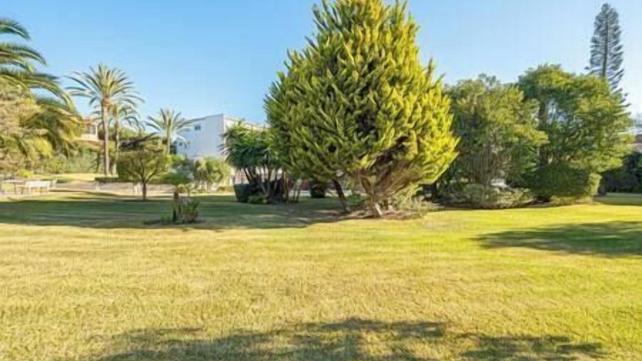 Photo of Others in Urbanizacion Pinos Verdes