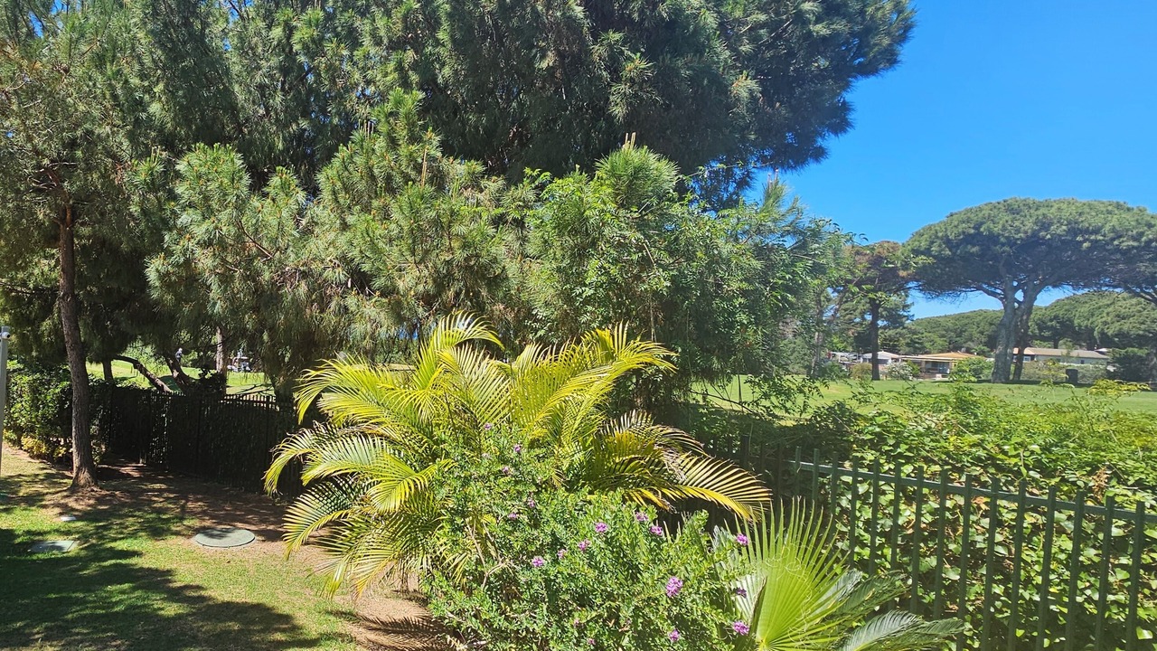 Photo of Outdoor in Cabopino