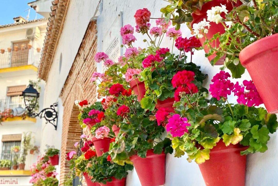 Photo of Patio Balcony in Marbella City Centre