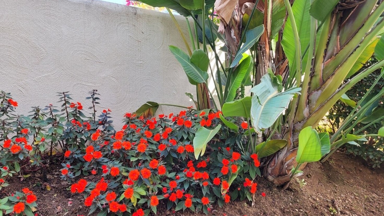 Photo of Outdoor in Guadalmina
