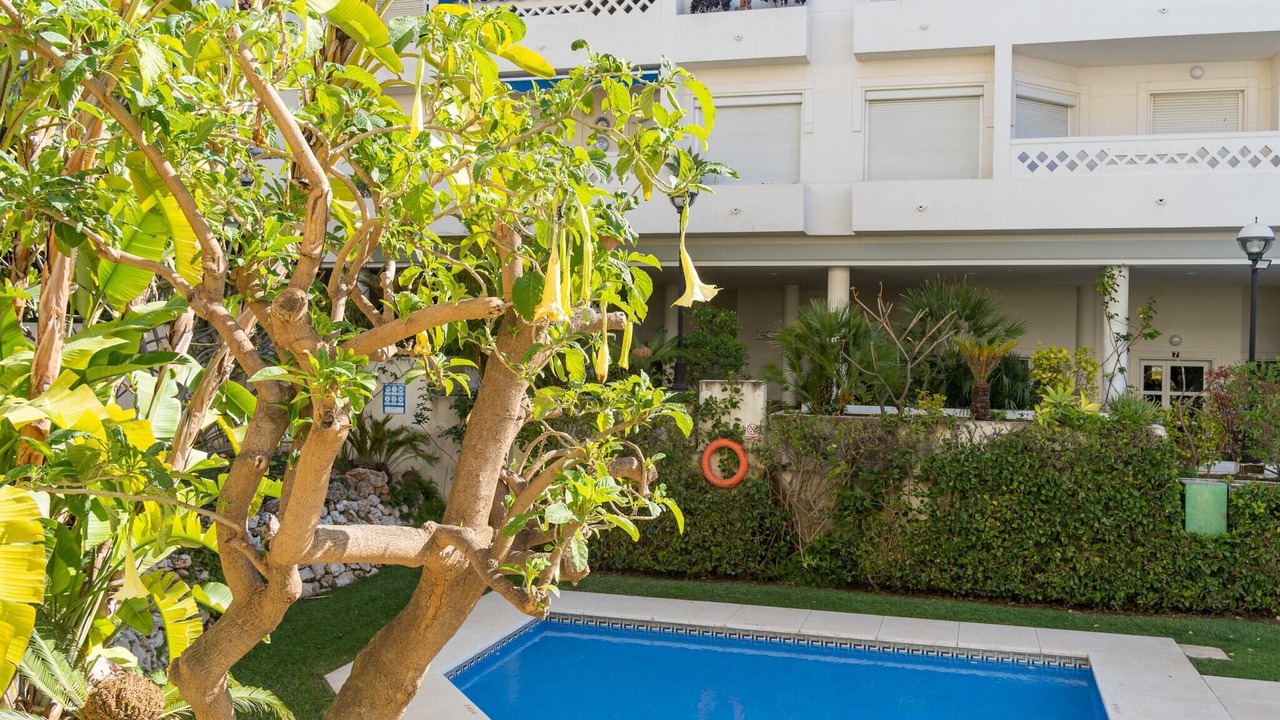 Photo of Outdoor in San Pedro de Alcantara