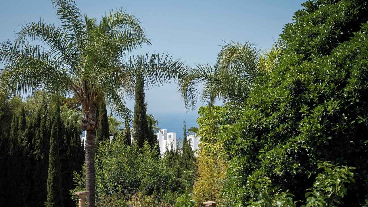 Photo of Outdoor in Marbella