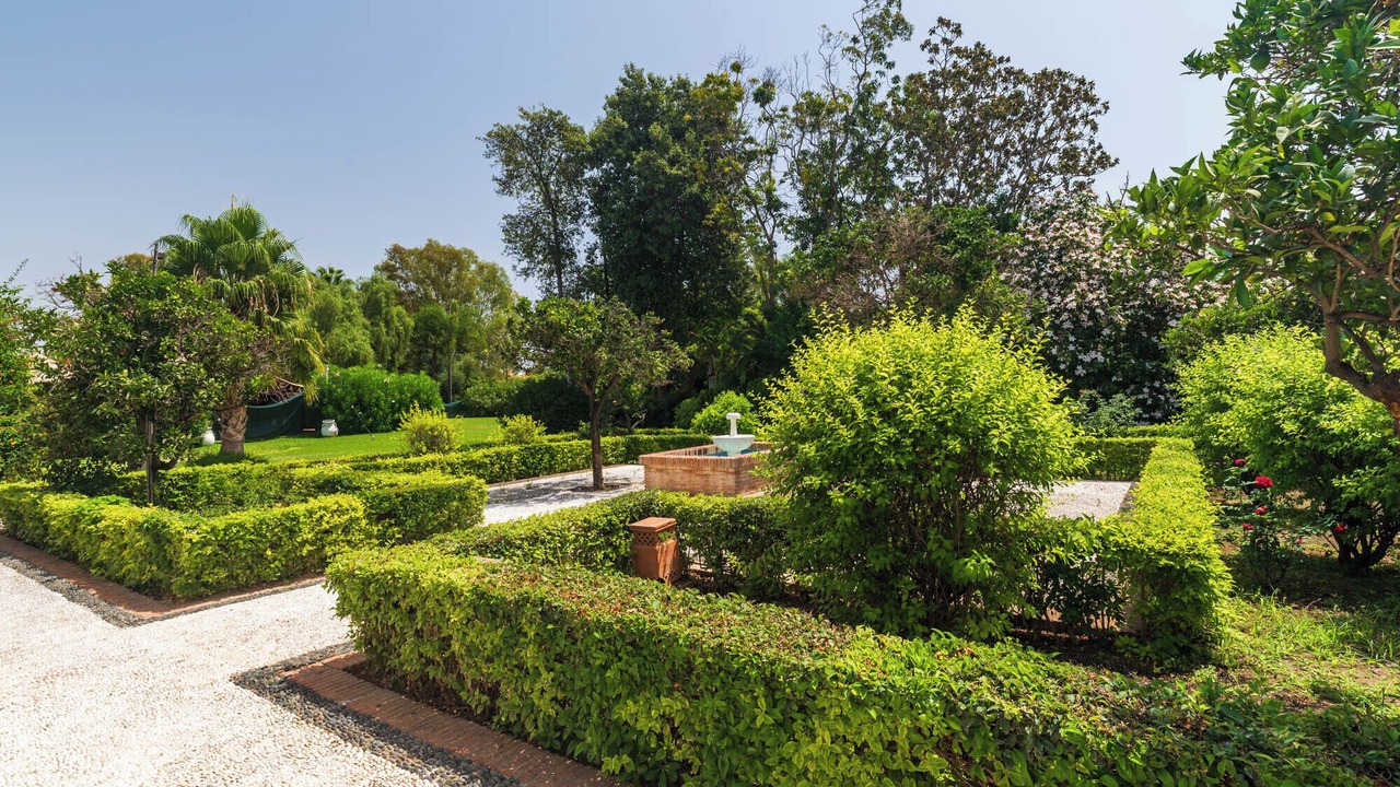 Photo of Outdoor in San Pedro de Alcantara
