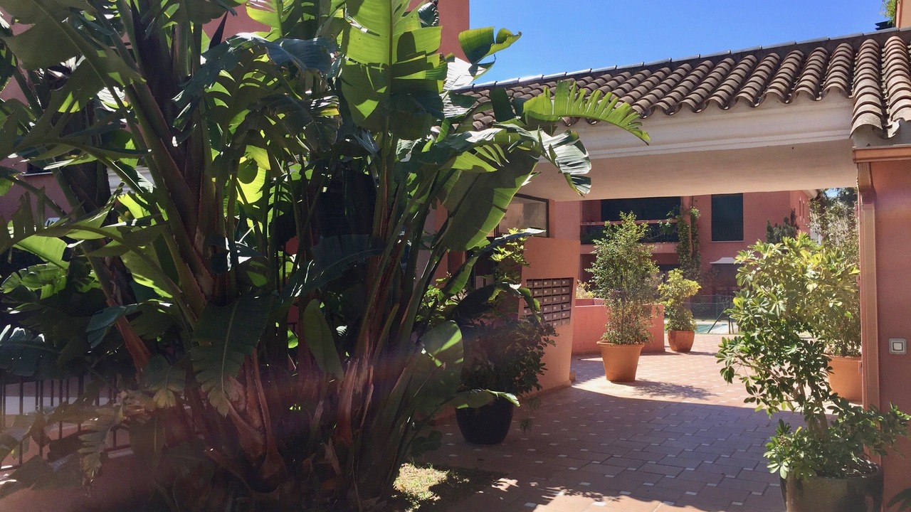 Photo of Others in Urbanizacion Pinos Verdes