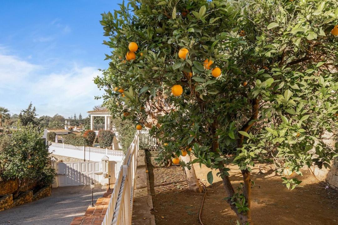 Photo of Others in Elviria