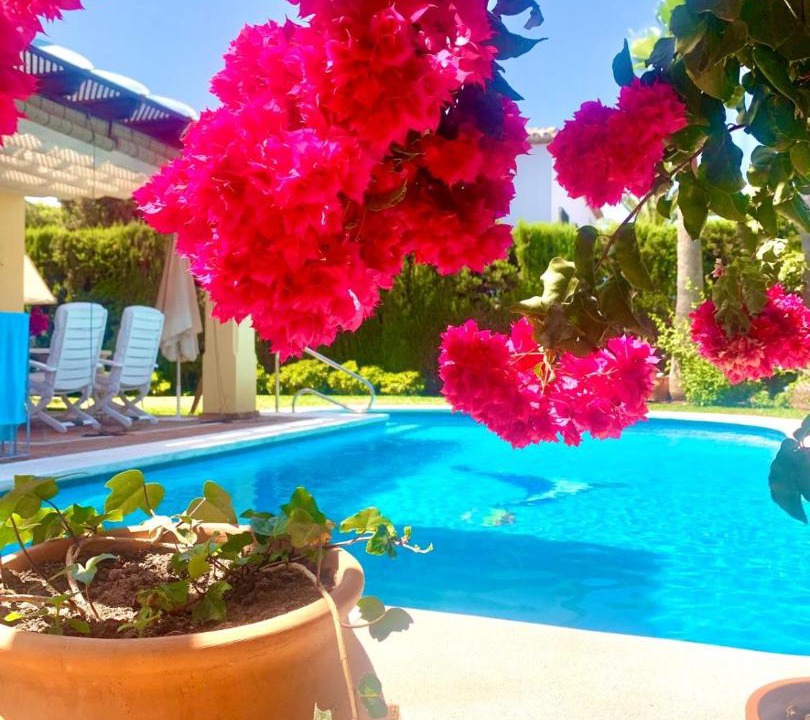 Photo of Outdoor in Carib Playa