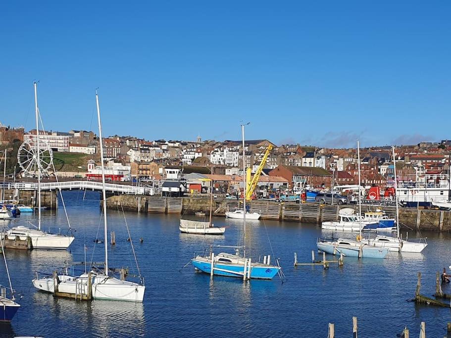 Photo of Buildings in South Cliff