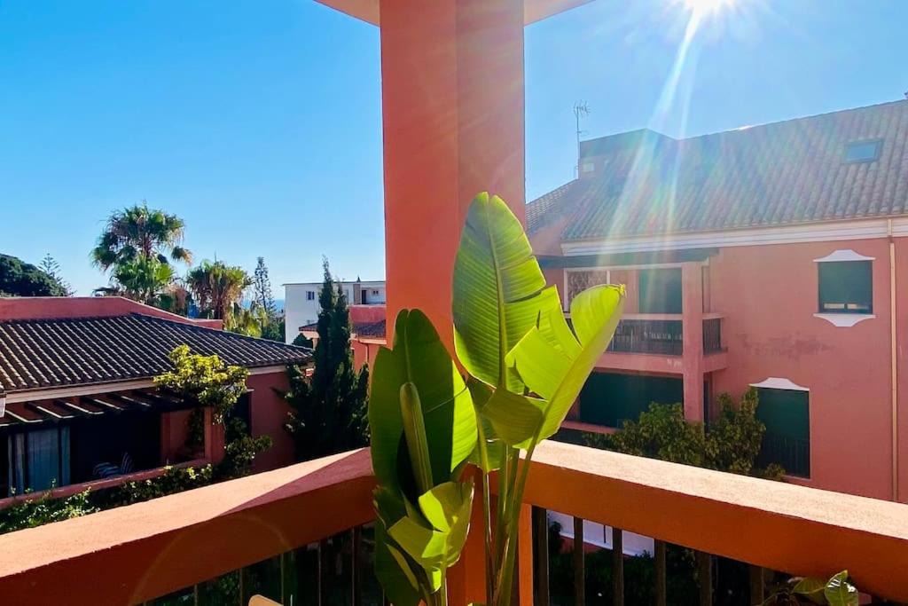 Photo of Patio Balcony in Urbanizacion Pinos Verdes