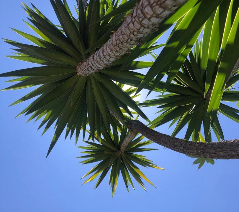 Photo of Outdoor in Urbanizacion Costabella