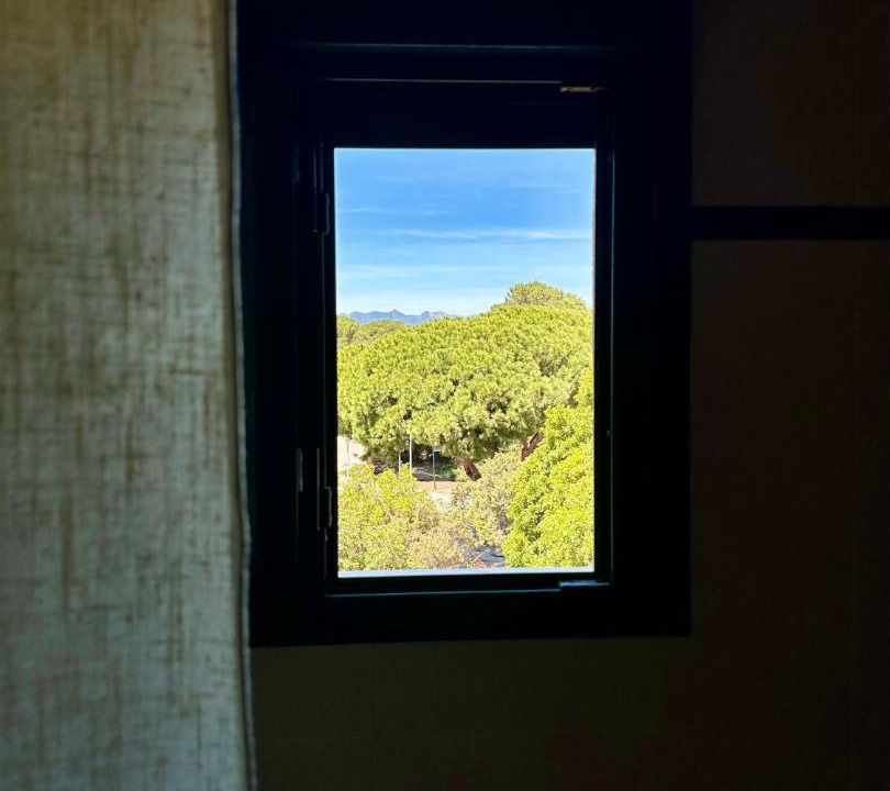 Photo of Others in Urbanizacion Pinos Verdes