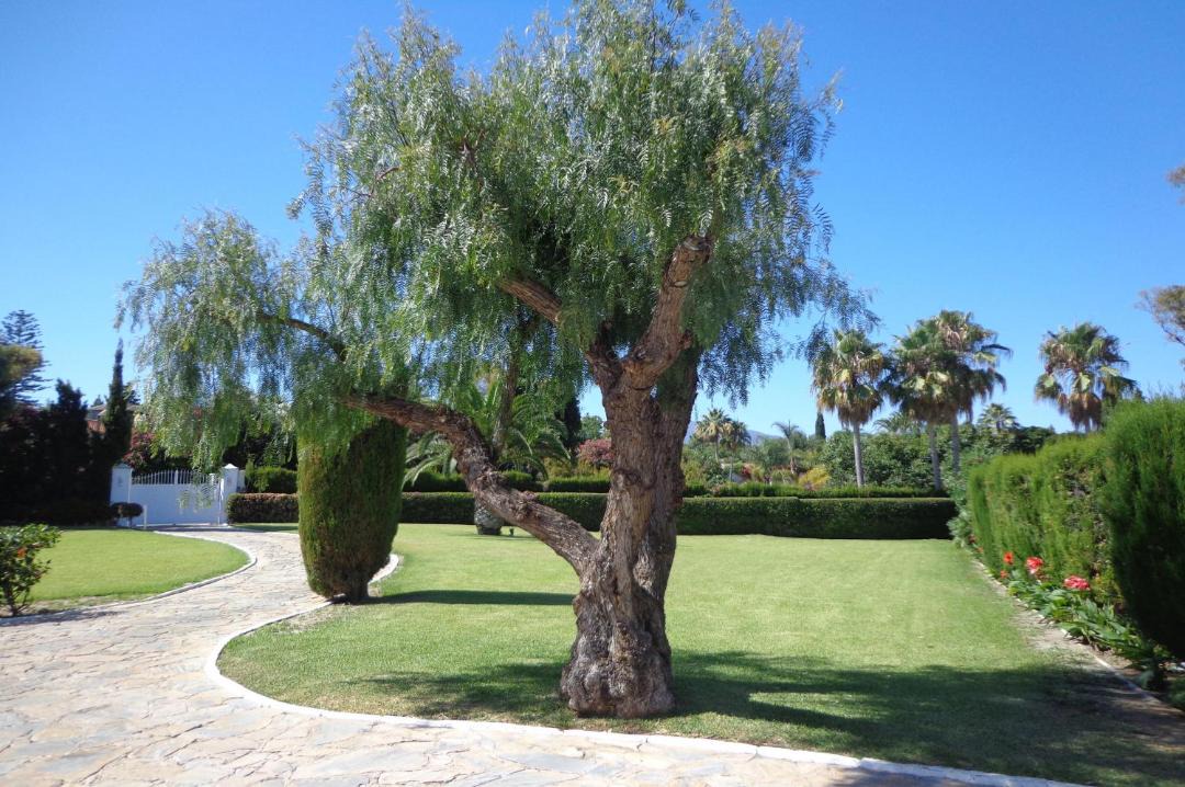 Photo of Others in Guadalmina