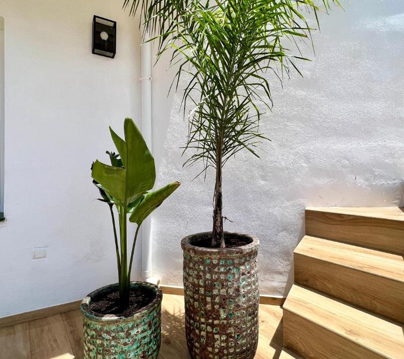 Photo of Others in Urbanizacion Costabella