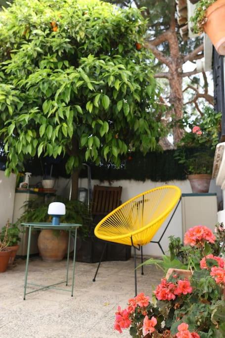 Photo of Others in Urbanizacion Pinos Verdes