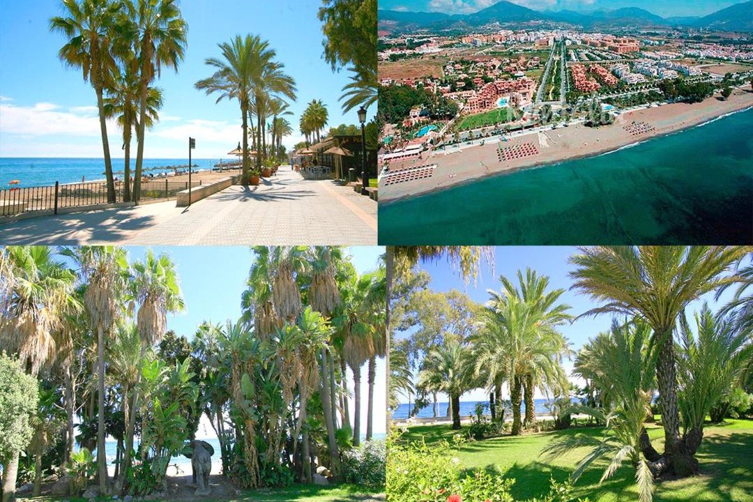 Photo of Others in San Pedro de Alcantara