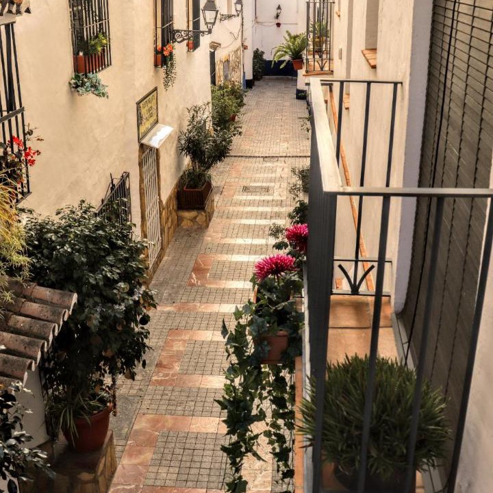 Photo of Others in Marbella City Centre