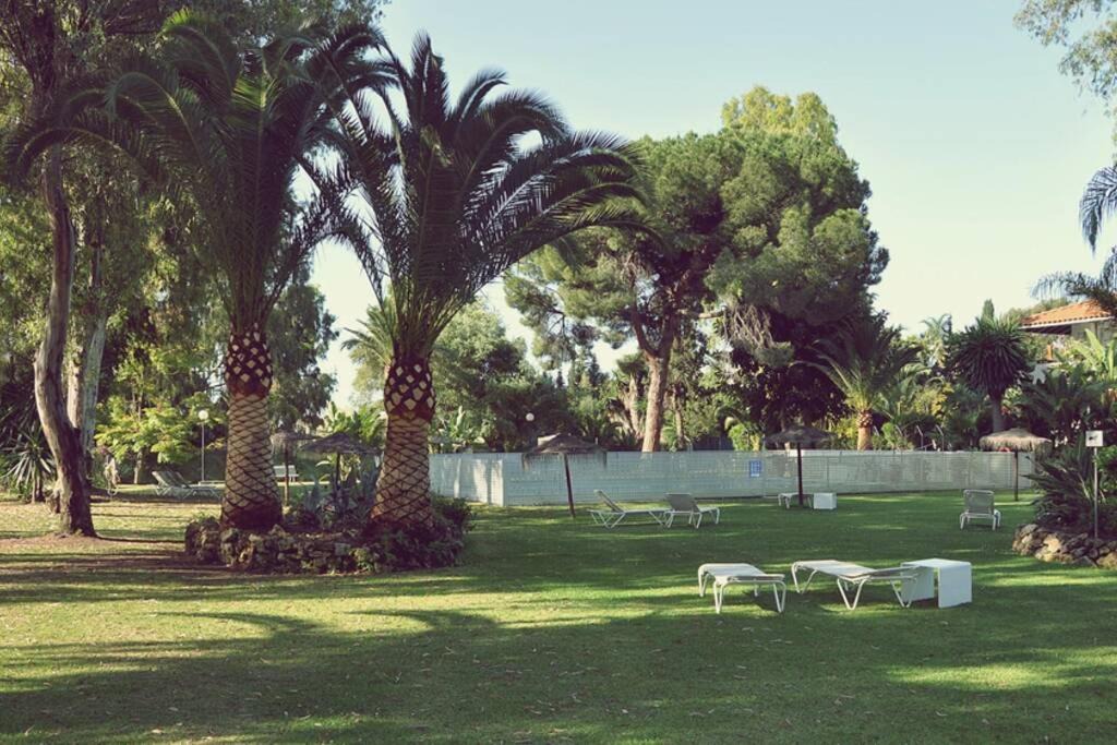 Photo of Others in Puerto Banus