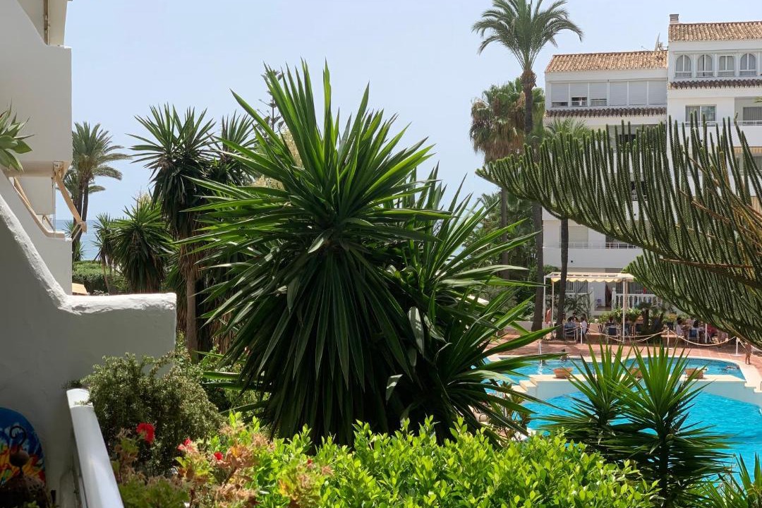 Photo of Others in Marbella