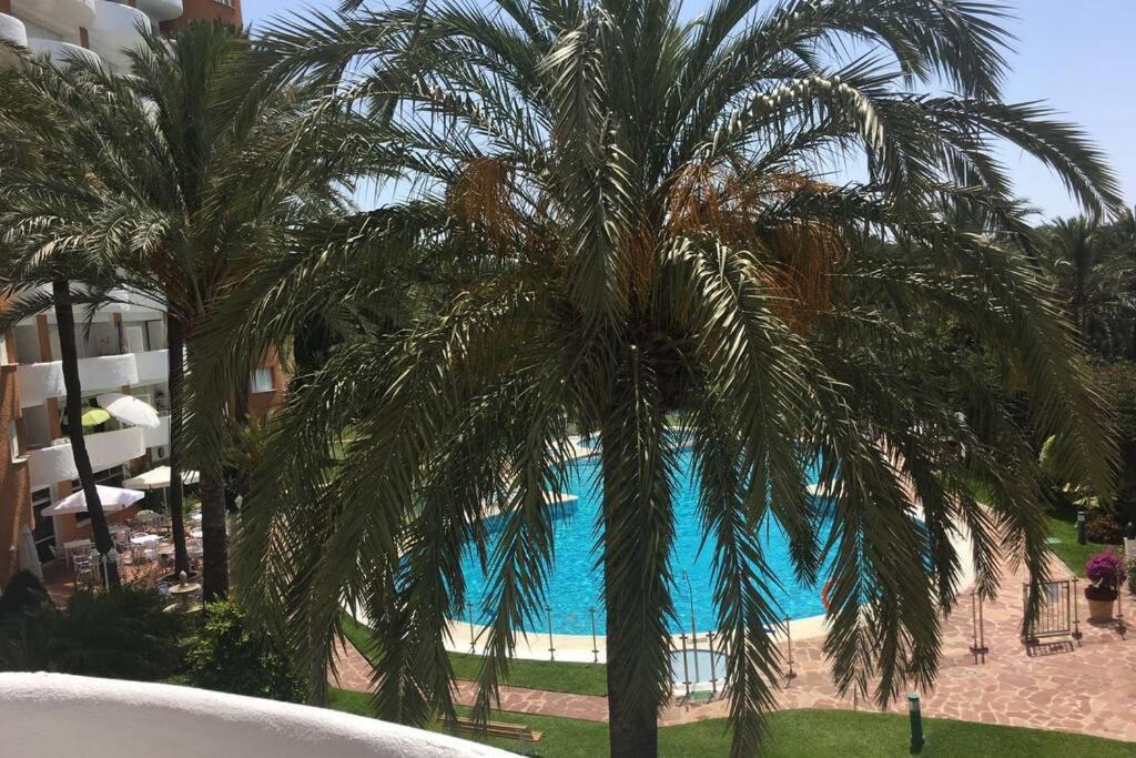 Photo of Outdoor in Marbella