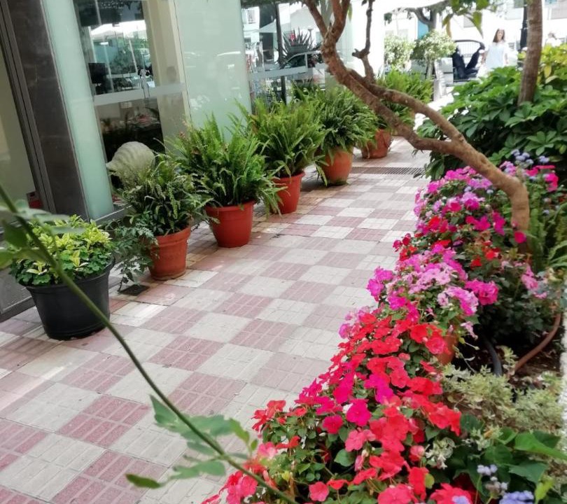 Photo of Others in San Pedro de Alcantara