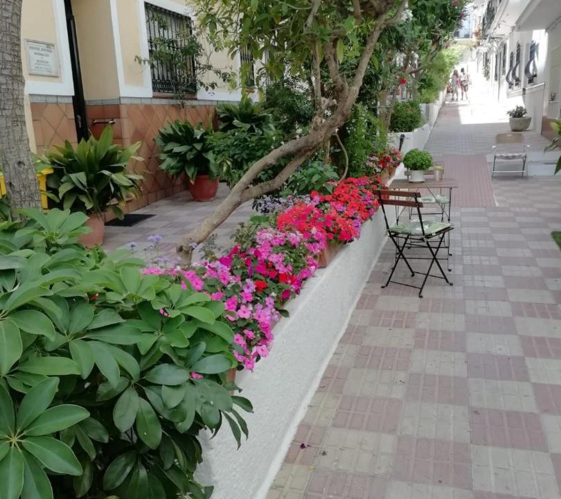 Photo of Others in San Pedro de Alcantara