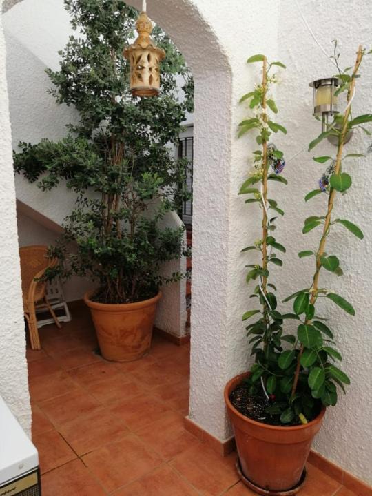 Photo of Others in Urbanizacion Costabella