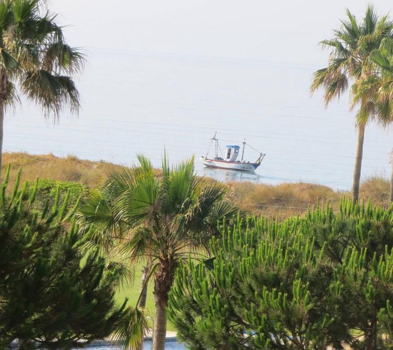 Photo of Outdoor in Marbella