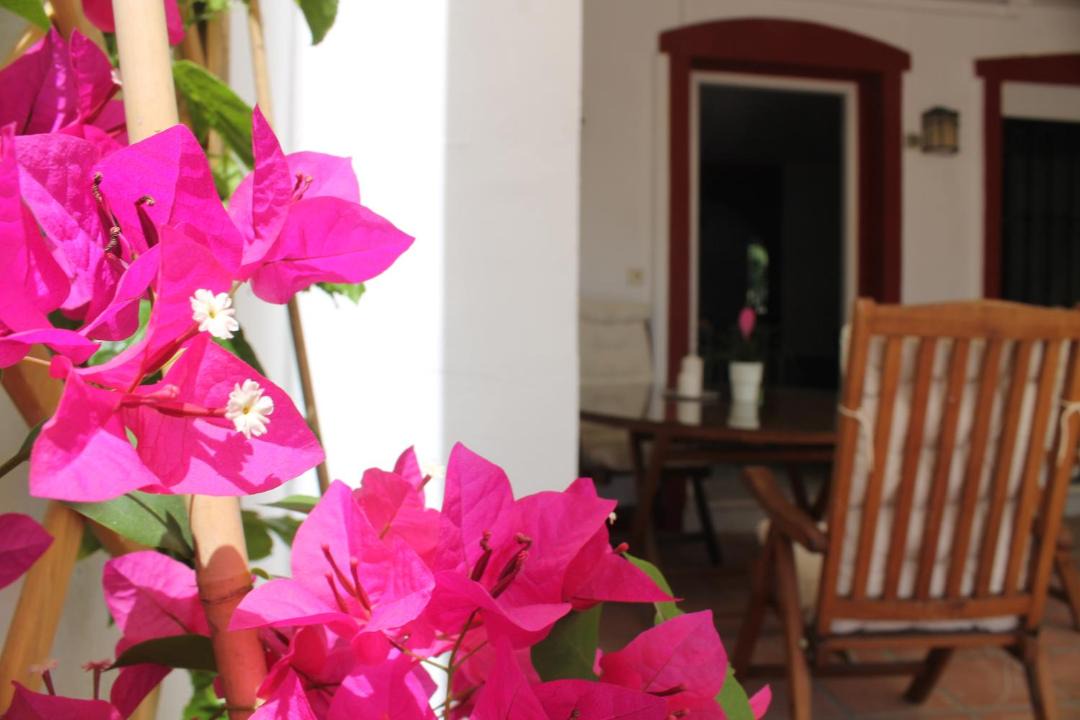 Photo of Others in Urbanizacion Hacienda las Chapas